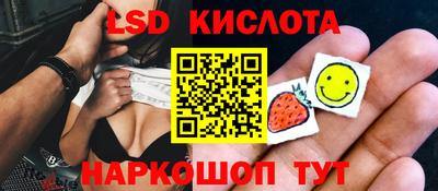 гидропоника Краснодар