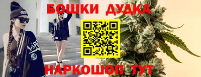 шишки Краснознаменск