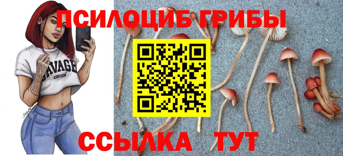 Карталы  Псилоцибиновые грибы Psilocybe  Вход с VPN  Псилоцибиновые грибы Cubensis 